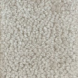 Silver Fur Q1108