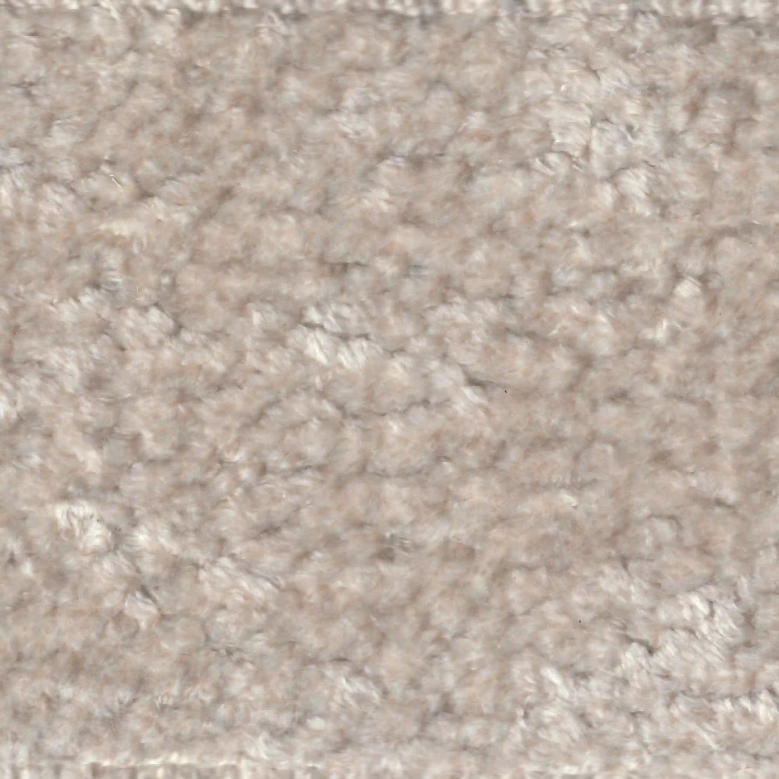 Silver Fur (Q1108)